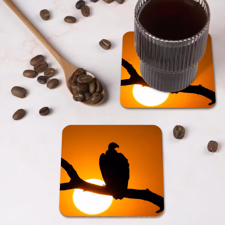 Onderzetter - Gier - Tak - Zon - Oranje — 4
