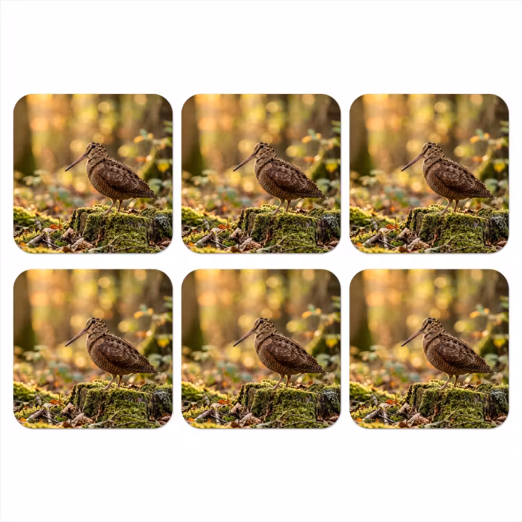 Onderzetter - Houtsnip - Bos - Bladeren - Herfst - Gecamoufleerd — 1