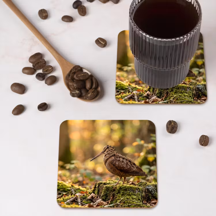 Onderzetter - Houtsnip - Bos - Bladeren - Herfst - Gecamoufleerd — 4