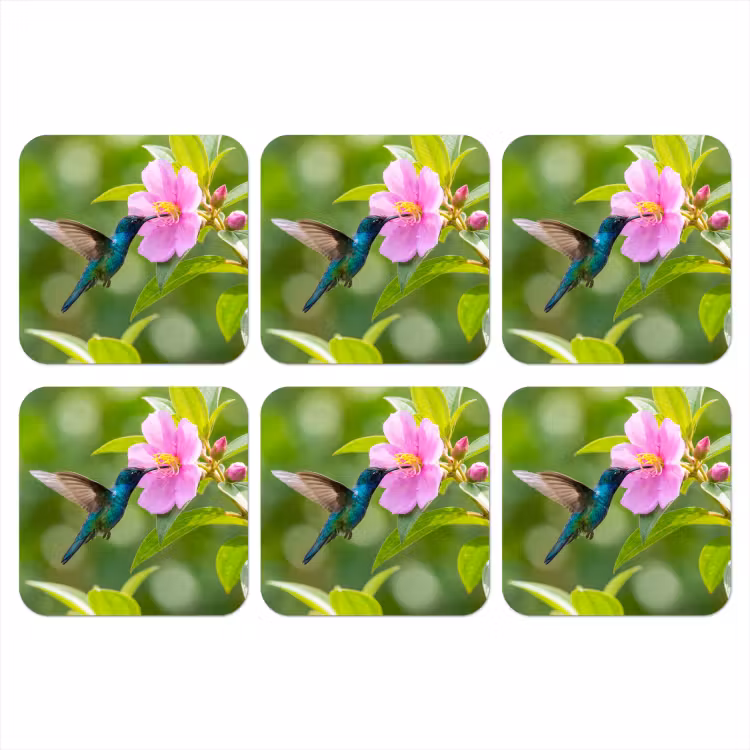 Onderzetter - Kolibrie - Bloem - Natuur - Groen — 1