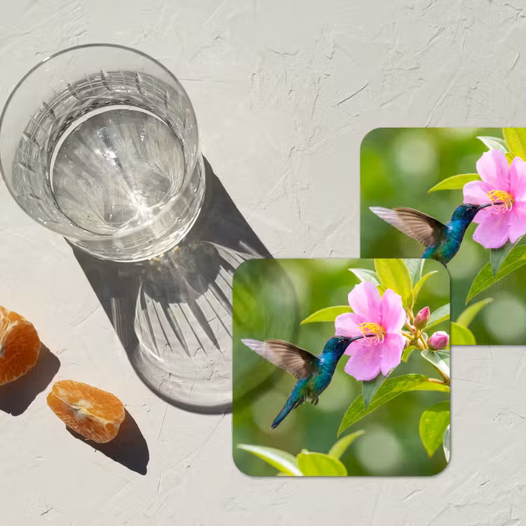 Onderzetter - Kolibrie - Bloem - Natuur - Groen — 3