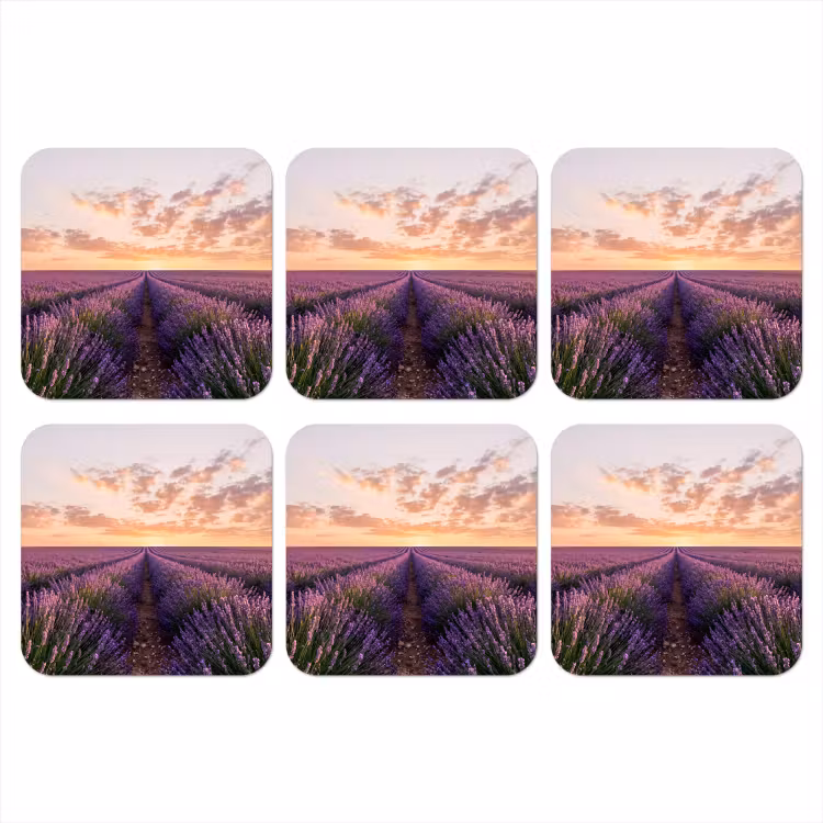Onderzetter - Landschap - Lavendelveld - Paars — 1