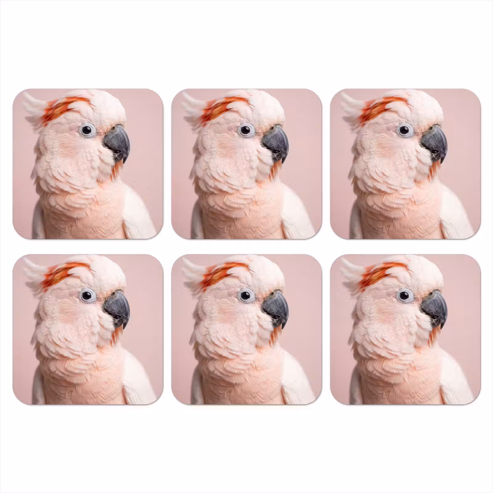 Onderzetter - Kaketoe - Portret - Roze — 1
