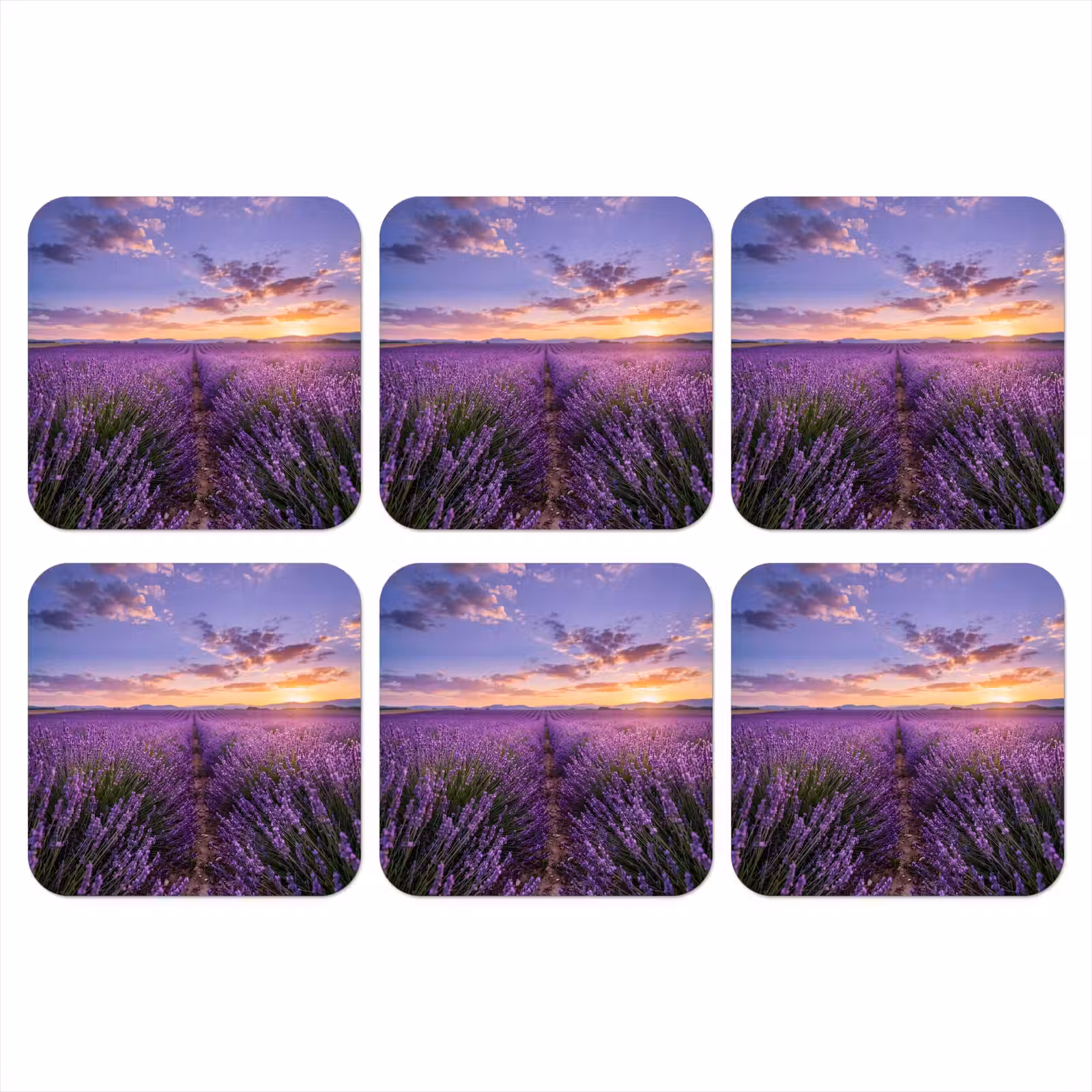 Onderzetter - Lavendel - Veld - Natuur - Paars — 1