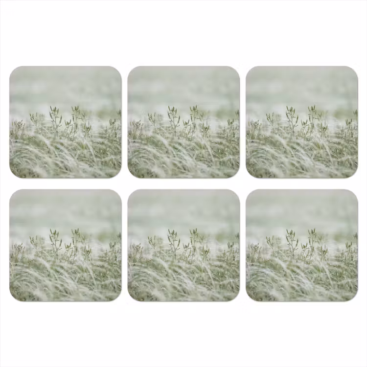 Onderzetter​ - Grassen - Minimalistisch - Groen — 1
