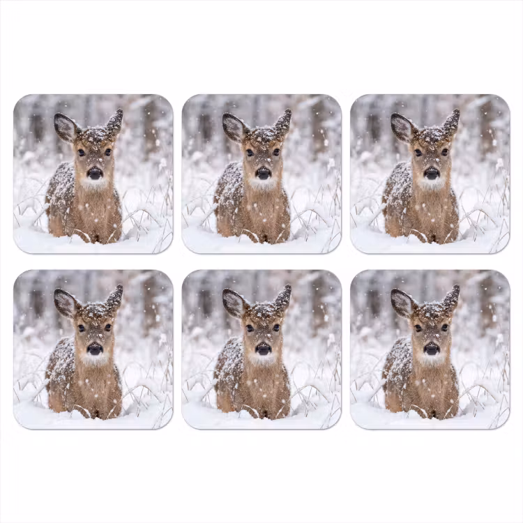 Onderzetter - Hert - Sneeuw - Bos - Dieren - Vertederend — 1