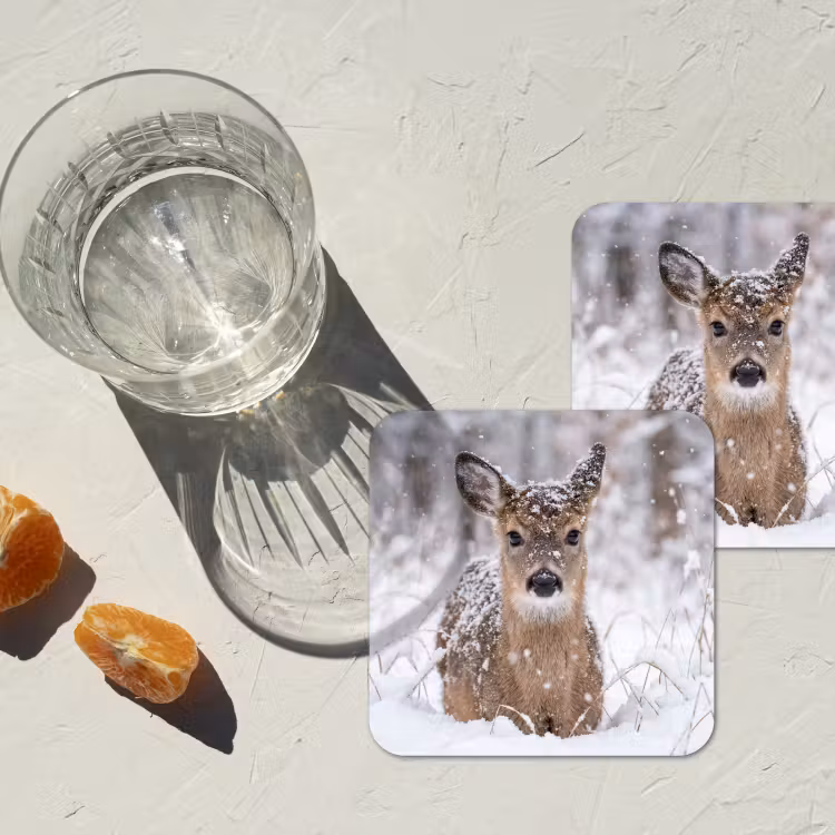 Onderzetter - Hert - Sneeuw - Bos - Dieren - Vertederend — 3
