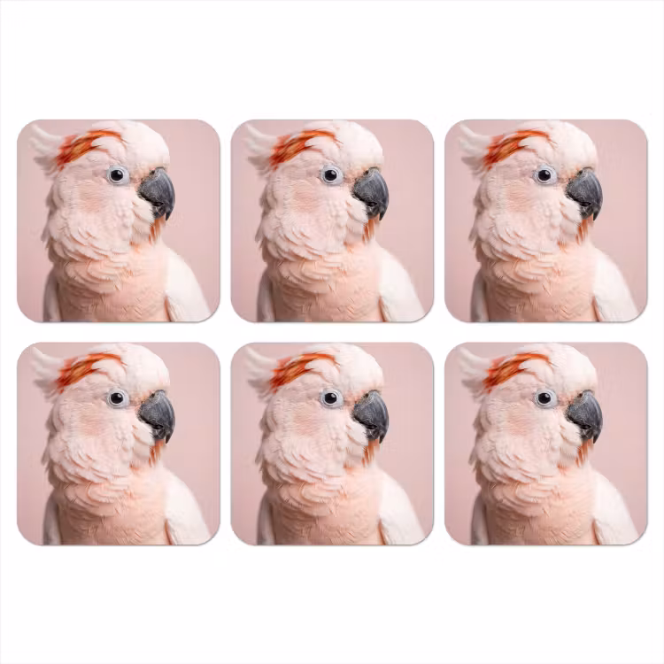 Onderzetter - Kaketoe - Portret - Roze — 1