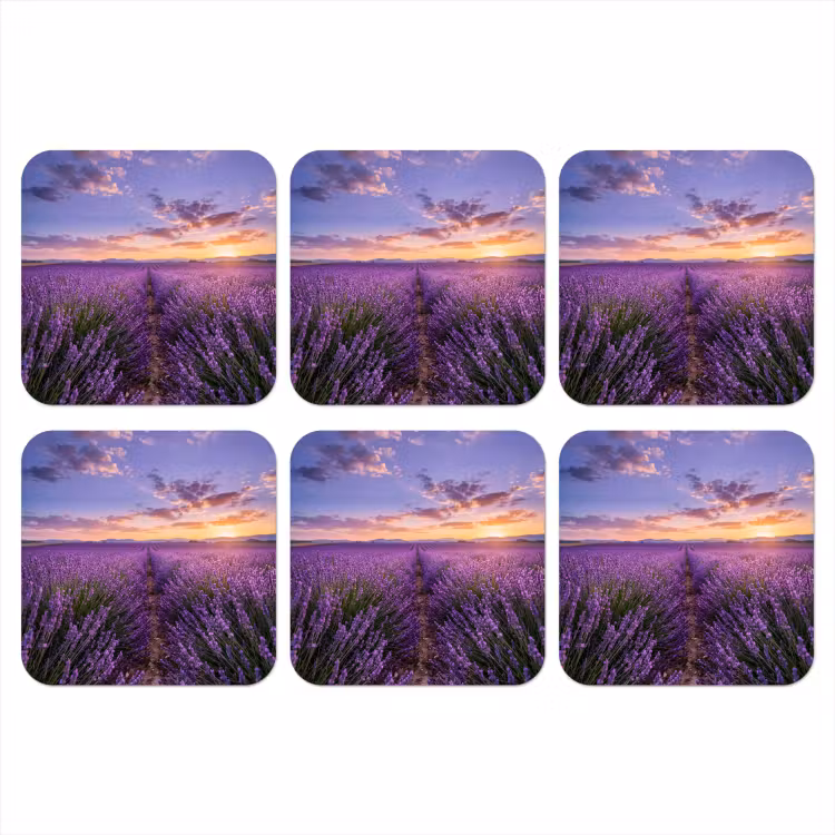 Onderzetter - Lavendel - Veld - Natuur - Paars — 1