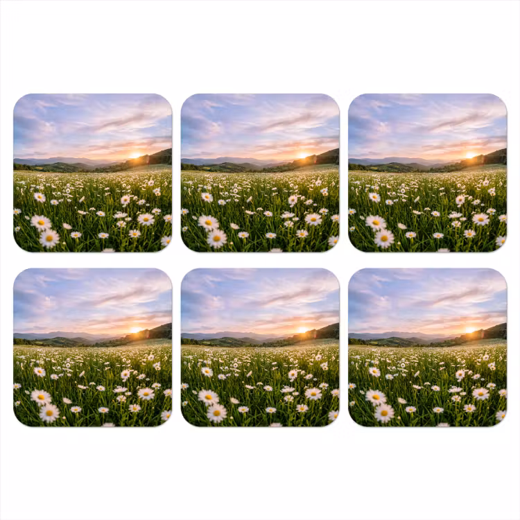 Onderzetter - Madelief - Veld - Heuvels - Groen — 1