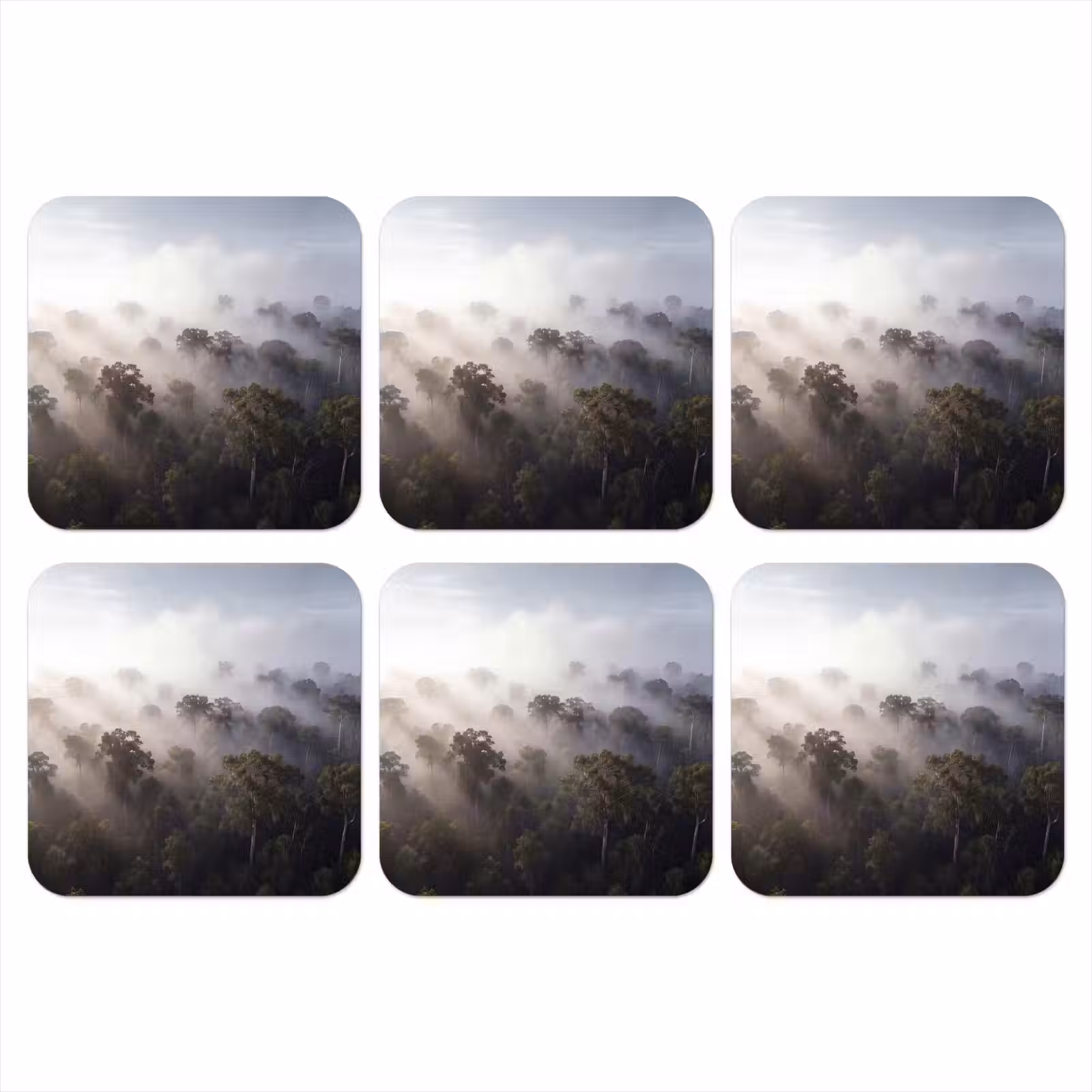 Onderzetter - Bos - Mist - Natuur - Groen — 1