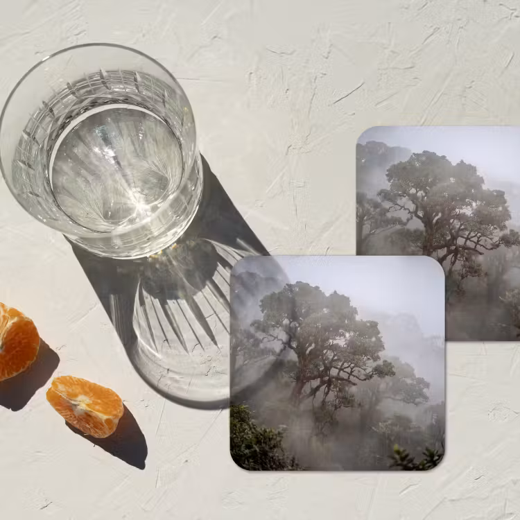 Onderzetter - Boom - Mistig - Bos - Groen - Natuur — 3