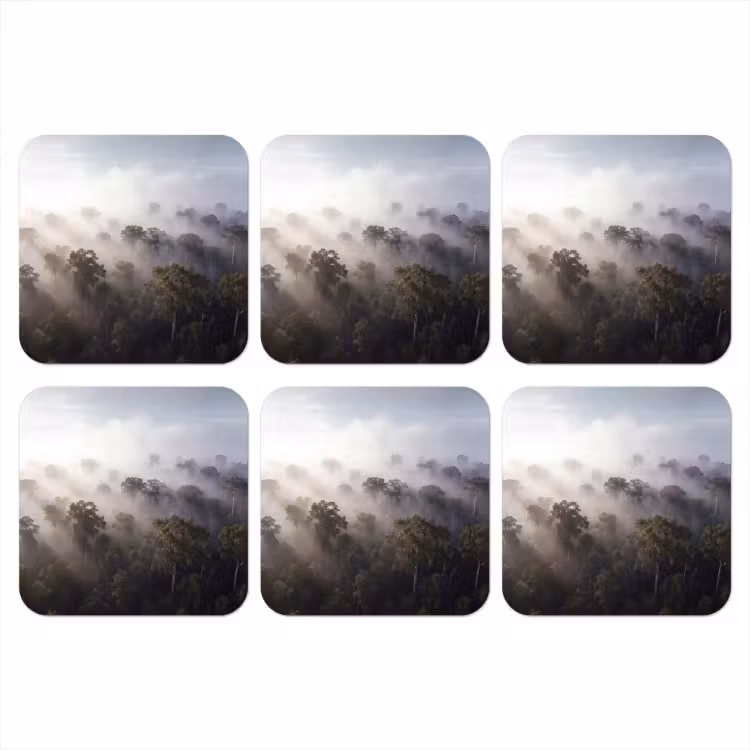Onderzetter - Bos - Mist - Natuur - Groen — 1