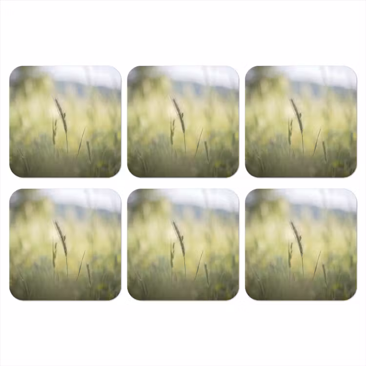 Onderzetter - Graan - Aar - Natuur - Groen - Detail — 1