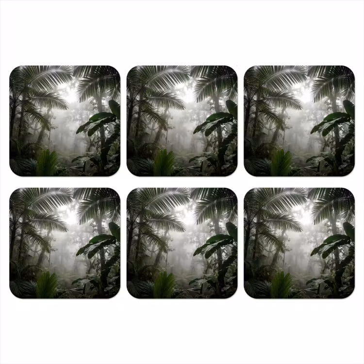 Onderzetter - Natuur - Jungle - Mist - Groen - Bladeren — 1