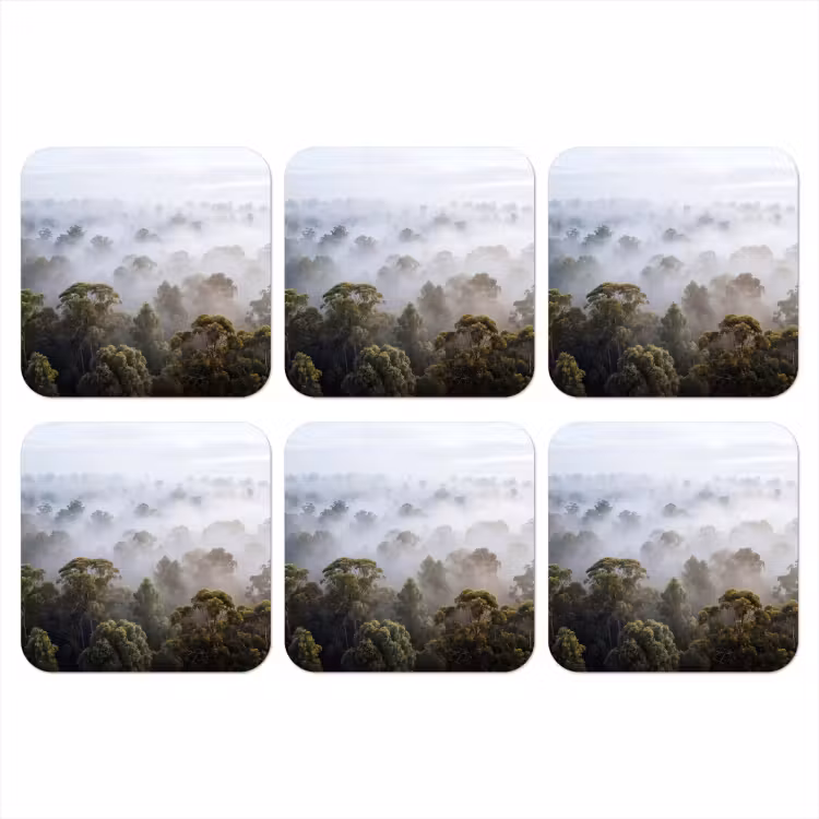 Onderzetter - Natuur - Mist - Bos - Ochtend - Goud — 1