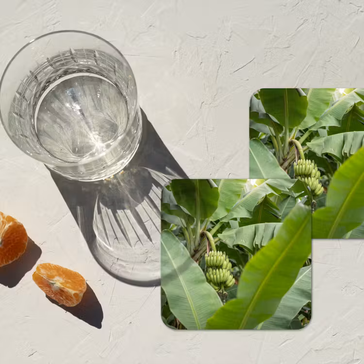 Onderzetter - Eten - Bananen - Plantage - Groen — 3