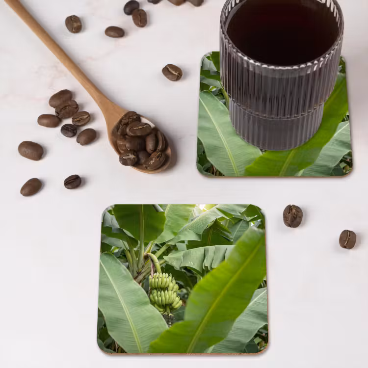 Onderzetter - Eten - Bananen - Plantage - Groen — 4