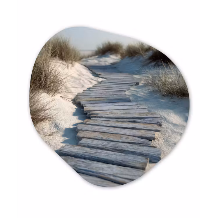 Organisch schilderij - Forex - Pad - Planken - Duinen - Gras — 1