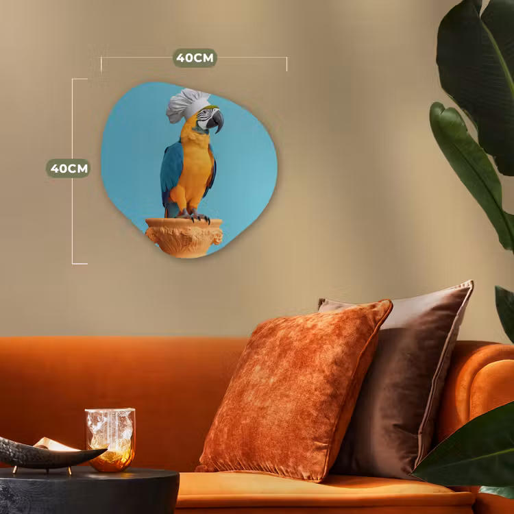Organisch schilderij - Forex - Papegaai - Koksmuts - Grappig - Vogel — 4