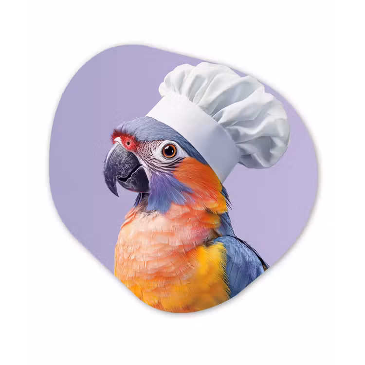 Organisch schilderij - Forex - Papegaai - Koksmuts - Paars - Cute — 1
