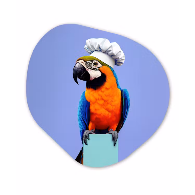 Organisch schilderij - Forex - Papegaai - Koksmuts - Vogel - Leuk — 1