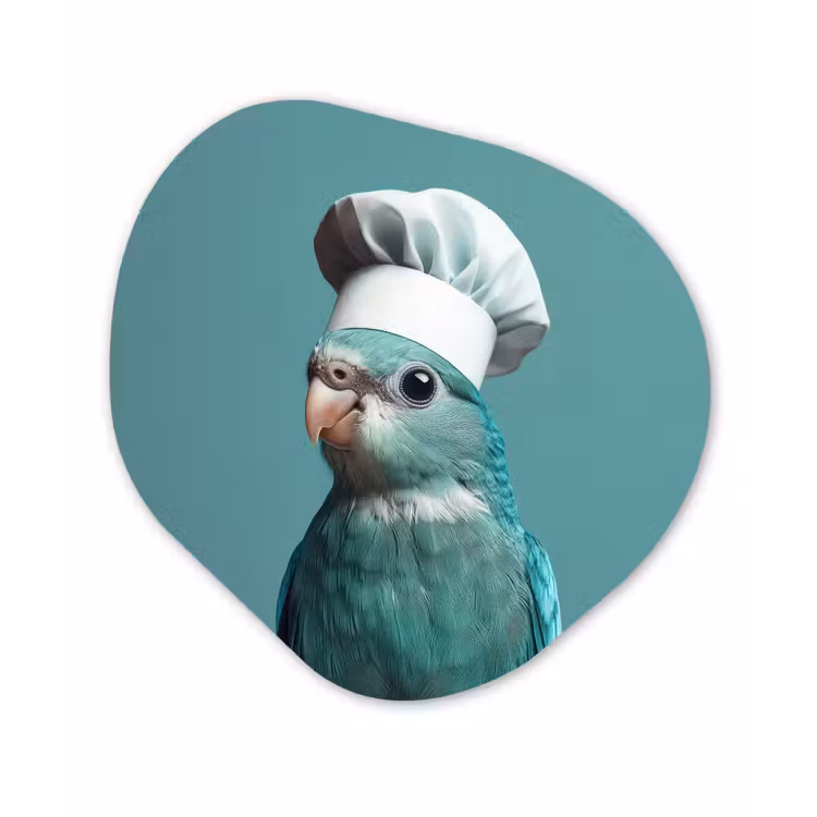 Organisch schilderij - Forex - Parkiet - Vogel - Koksmuts - Cute — 1