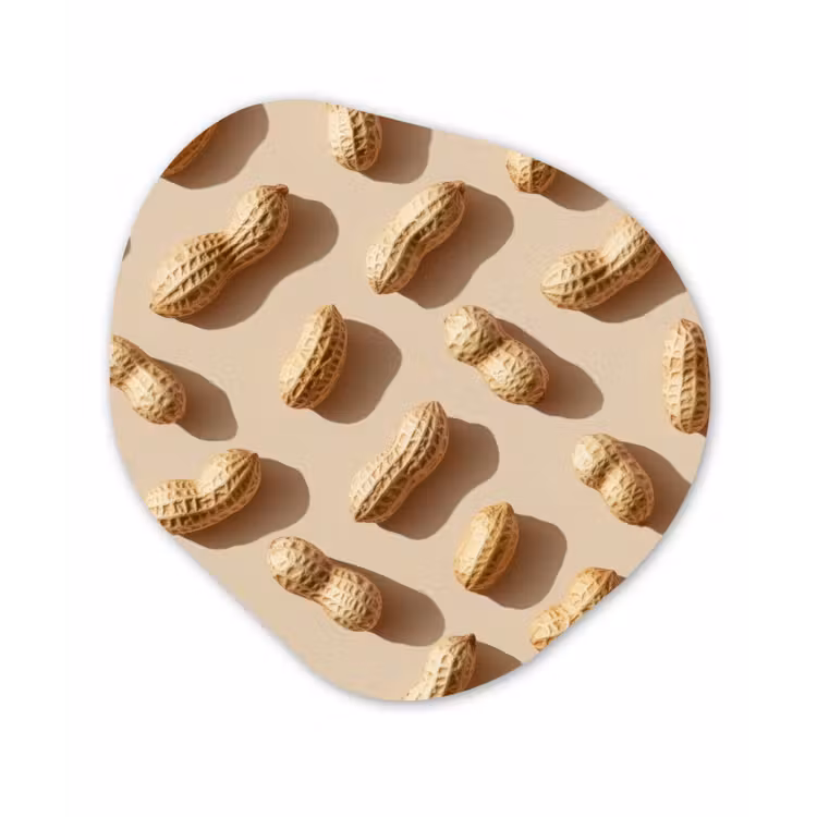 Organisch schilderij - Forex - Pinda's - Patroon - Beige — 1