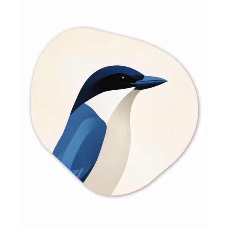 Organisch schilderij - Forex - Illustratie - Blauw - Vogel — 1