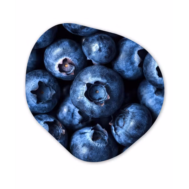 Organisch schilderij - Forex - Bessen - Blauw - Fruit — 1