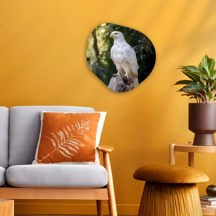 Organisch schilderij - Forex - Arend - Hout - Wit - Planten — 3