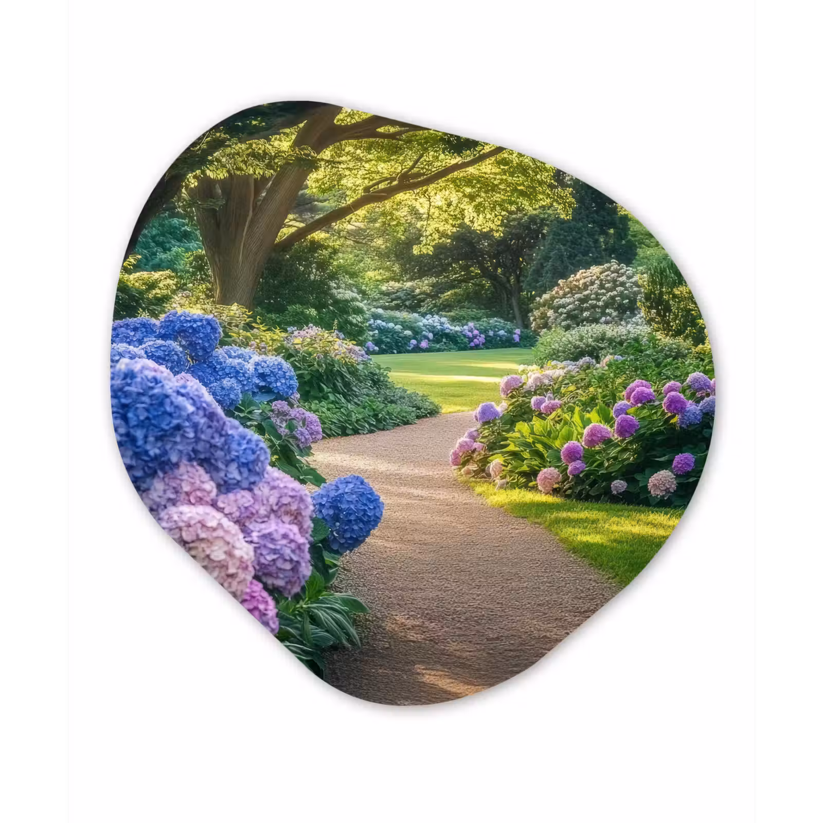 Organisch schilderij - Forex - Hortensia- Park - Pad — 1