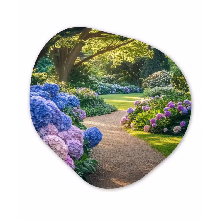 Organisch schilderij - Forex - Hortensia- Park - Pad — 1