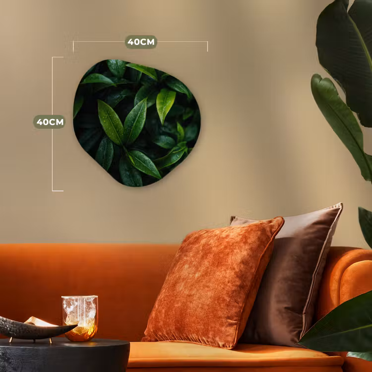 Organisch schilderij - Forex - Bladeren - Regendruppels - Licht - Groen — 4