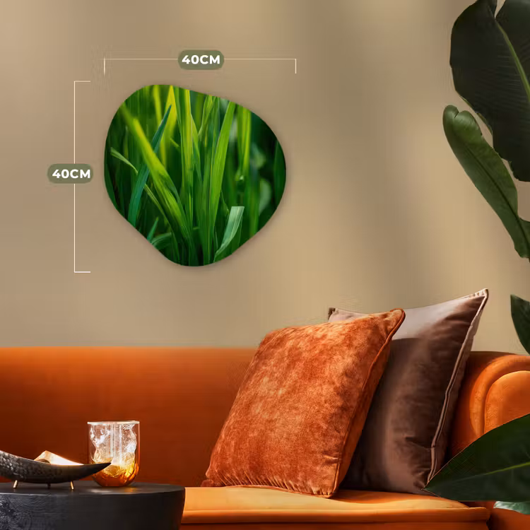 Organisch schilderij - Forex - Grassprieten - Lichtinval - Groen — 4