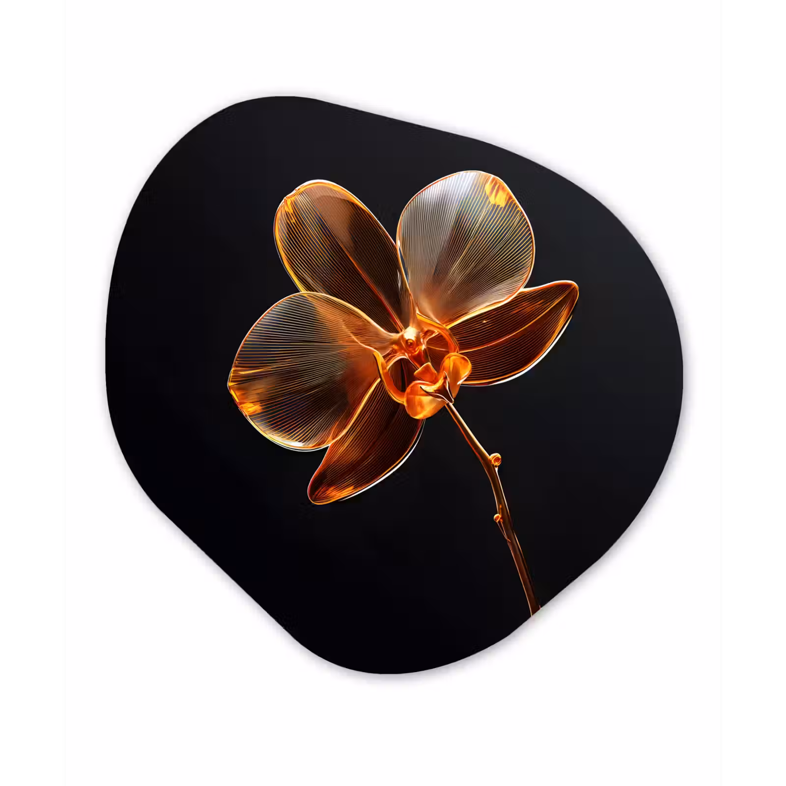 Organisch schilderij - Forex - Orchidee - Doorzichtig - Bloem — 1