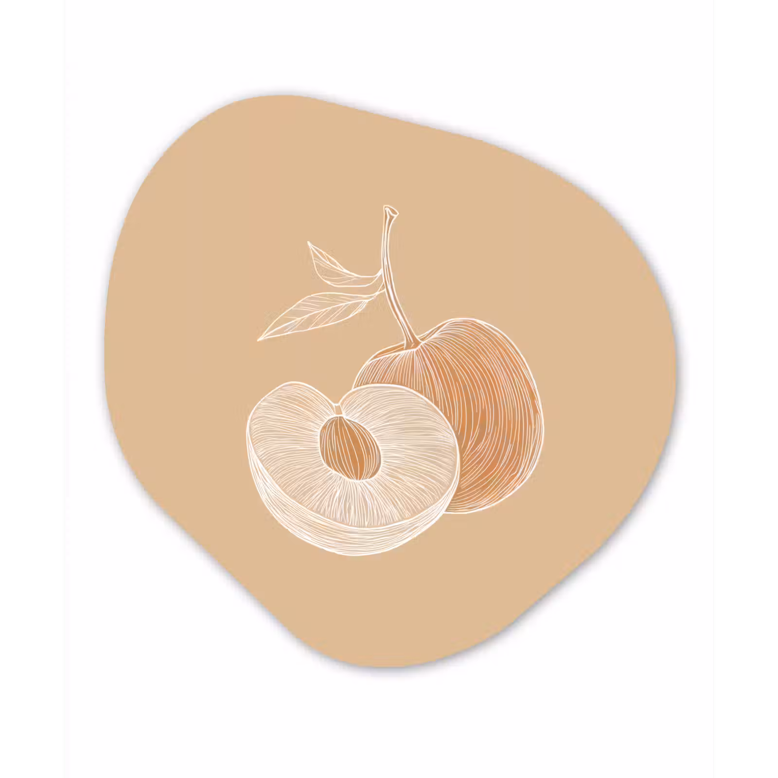 Organisch schilderij - Forex - Perzik - Lijntekening - Pit - Beige — 1
