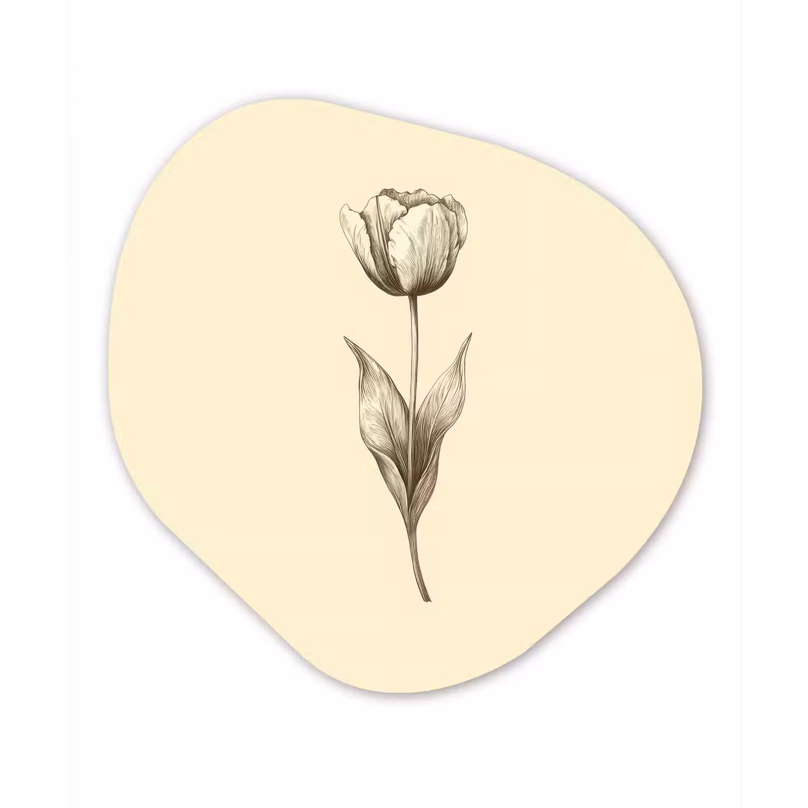 Organisch schilderij - Forex - Illustratie - Tulp - Zwart — 1