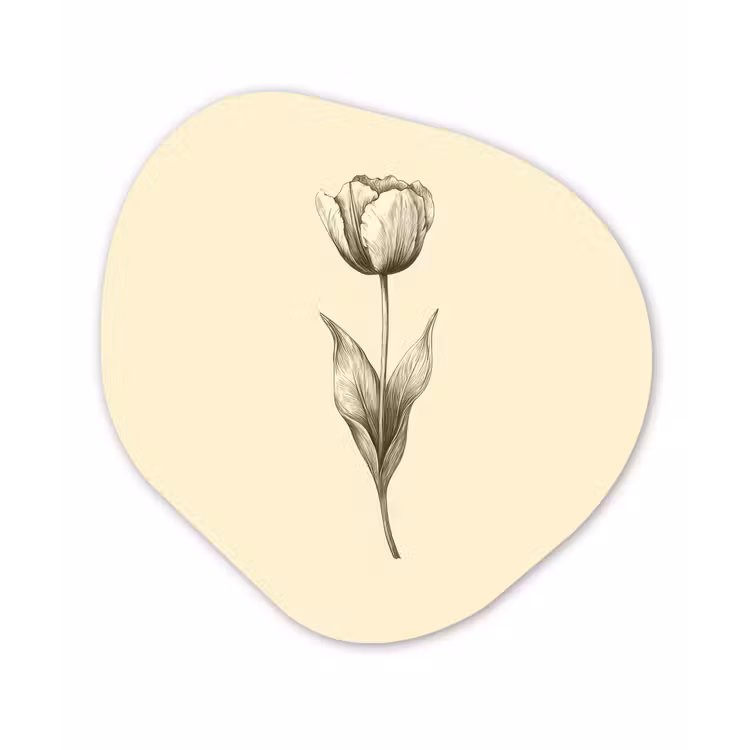 Organisch schilderij - Forex - Illustratie - Tulp - Zwart — 1