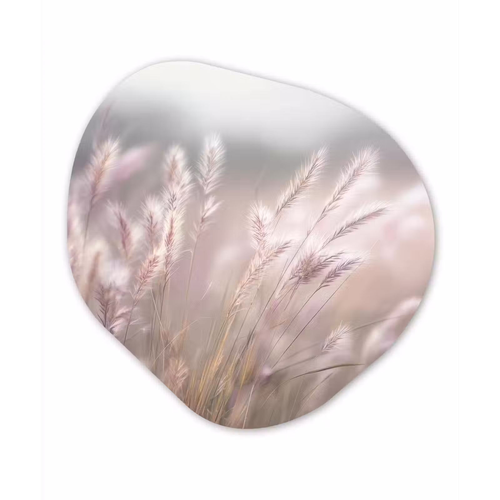 Organisch schilderij - Forex - Graspluimen - Wind - Beige - Mistig — 1