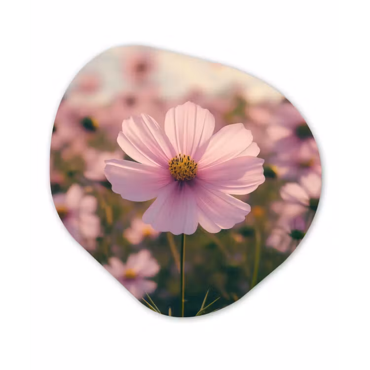 Organisch schilderij - Forex - Bloemen - Paars - Wazig — 1