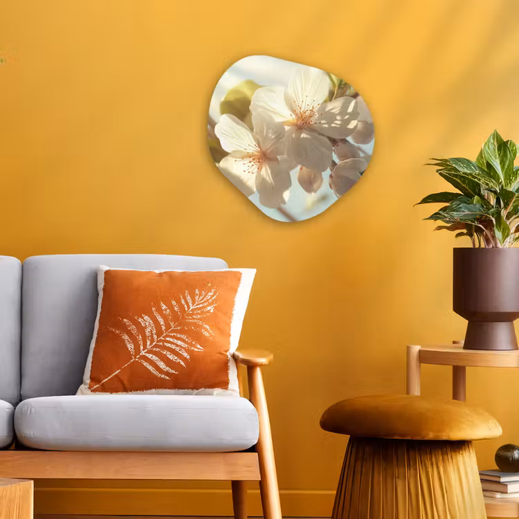 Organisch schilderij - Forex - Bloesems - Wit - Zonnestralen - Bloemblaadjes — 3