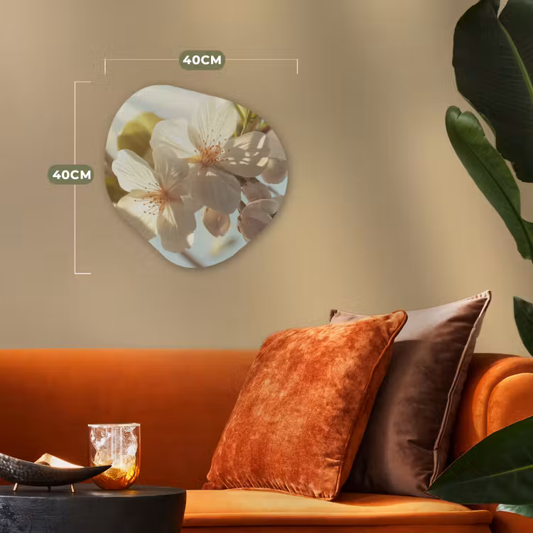 Organisch schilderij - Forex - Bloesems - Wit - Zonnestralen - Bloemblaadjes — 4