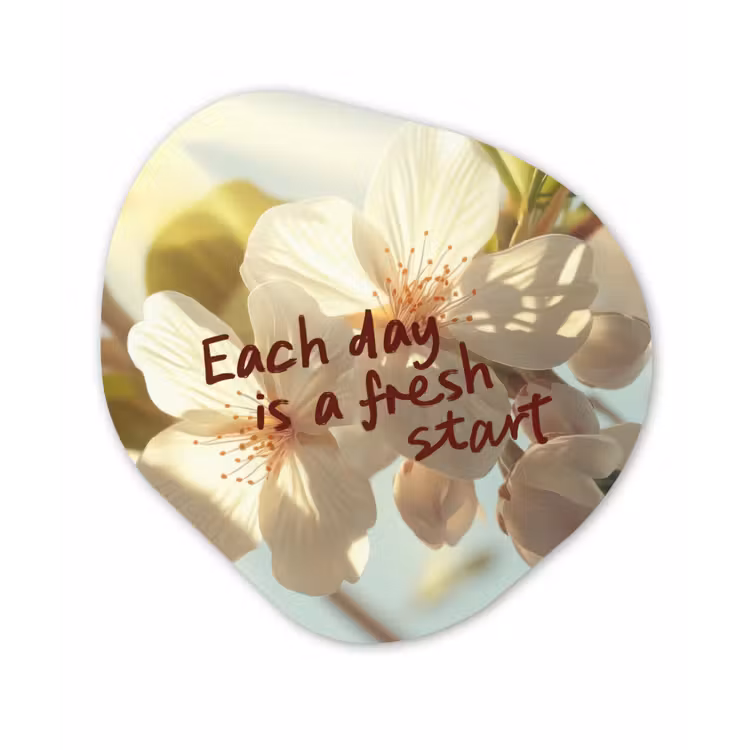 Organisch schilderij - Forex - Bloesems - Zonlicht - Quote - Wit — 1