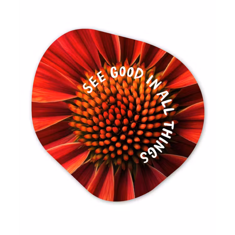 Organisch schilderij - Forex - Close up - Bloem - Quote - Rood — 1