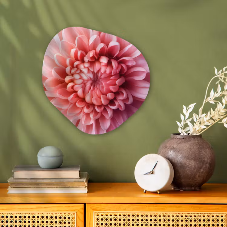 Organisch schilderij - Forex - Dahlia - Bloem - Close up - Roze — 2