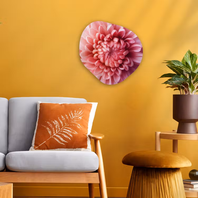 Organisch schilderij - Forex - Dahlia - Bloem - Close up - Roze — 3