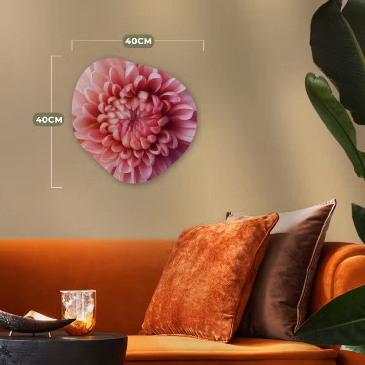 Organisch schilderij - Forex - Dahlia - Bloem - Close up - Roze — 4
