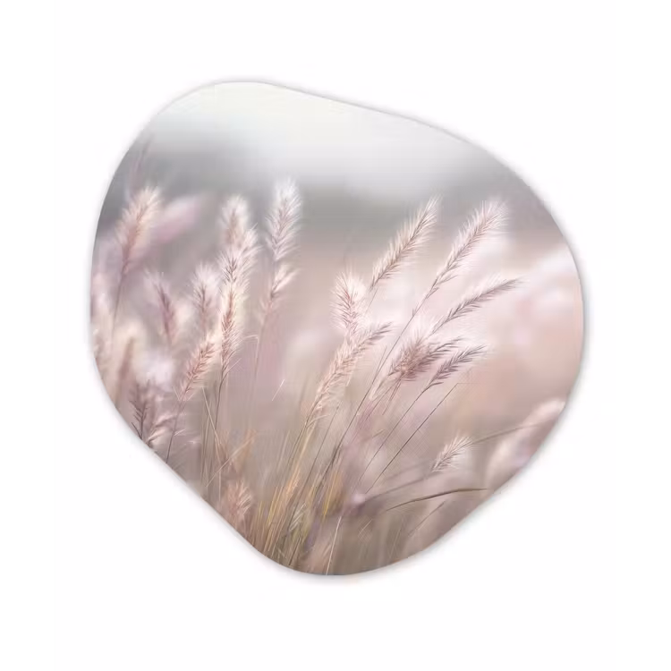 Organisch schilderij - Forex - Graspluimen - Wind - Beige - Mistig — 1