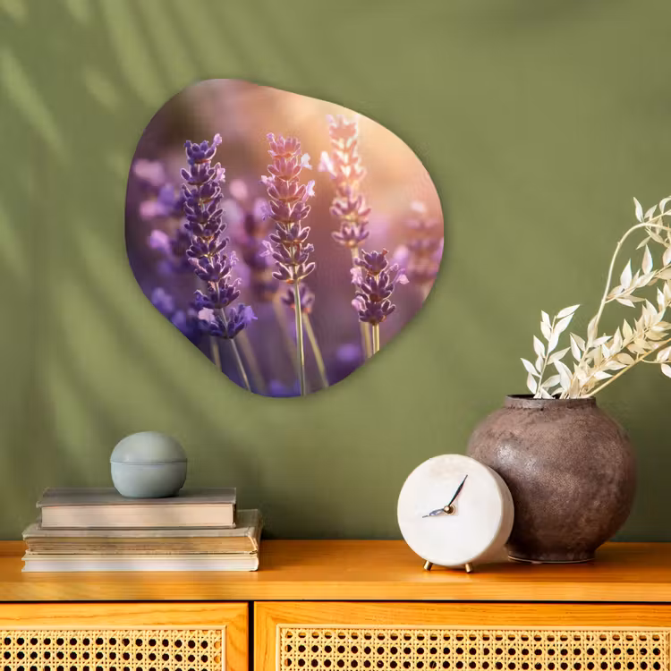 Organisch schilderij - Forex - Lavendelbloemen - Paars - Zonlicht — 2